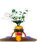 I've fallen and I can't get up!