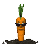 I don't CARROT all what happens...
