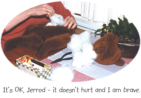 pic4.gif (74953 bytes)